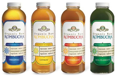 2010_06_Kombucha